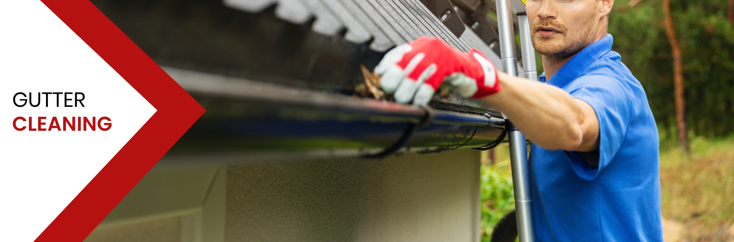 Cleaning Gutters